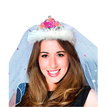 Flashing Silver Tiara with Bride to Be Veil