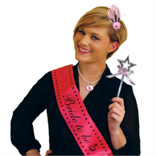 Hen Party Dress up Set