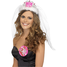 Bride to Be Tiara with Veil