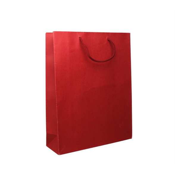 Red Gift Bag - 23x19x9 1