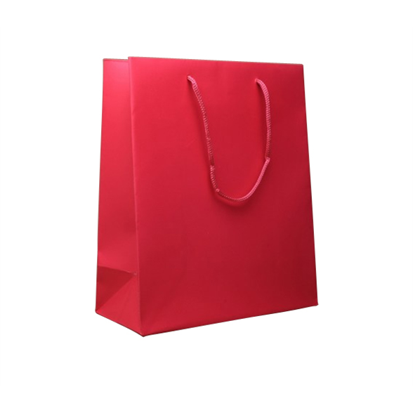 Fuchsia Pink Gift Bag - 23x19x9cm 1