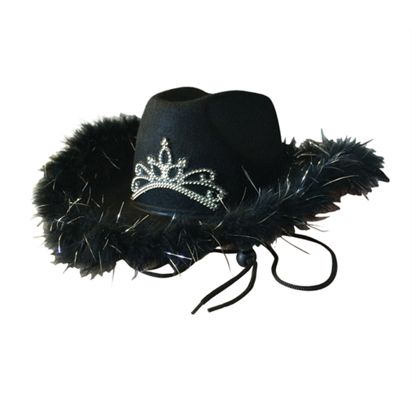 Cowboy Hat With Feather & Tiara 1