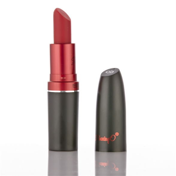 Lipstick Vibrator 1