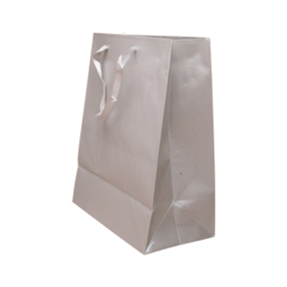 Silver Grey Gift Bag - 23x18x10cm 1