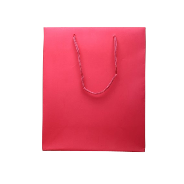 Fuchsia Pink Gift Bag - 23x19x9cm 2
