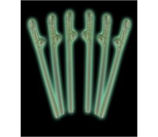 Glow-In-The-Dark Willy Straws (6 Pack) 2