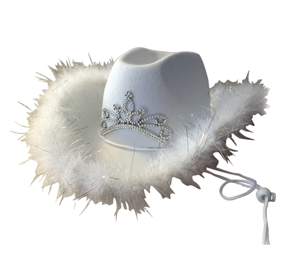 Cowboy Hat With Feather & Tiara 2