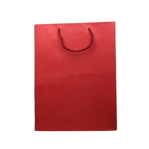 Red Gift Bag - 23x19x9 3